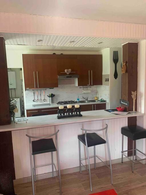 Villa 3 Chambres Parking Et Terrasse Plaisance-du-Touch Exterior photo